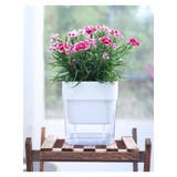 植木鉢 自動給水 フラワーポット | PlusNao | 詳細画像5 
