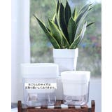 植木鉢 自動給水 フラワーポット | PlusNao | 詳細画像6 