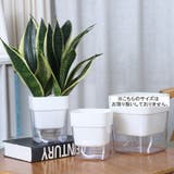植木鉢 自動給水 フラワーポット | PlusNao | 詳細画像7 
