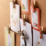 ウッドクリップ 木製クリップ 10個セット | PlusNao | 詳細画像9 