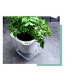 植木鉢 自動給水 フラワーポット | PlusNao | 詳細画像3 