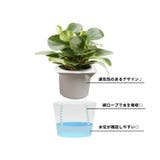 植木鉢 自動給水 フラワーポット | PlusNao | 詳細画像5 