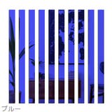 ウォールステッカー 10枚セット 5枚セット | PlusNao | 詳細画像17