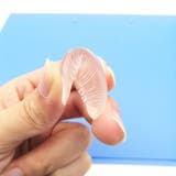 シリコンパフ シリコンスポンジ メイクスポンジ | PlusNao | 詳細画像11 