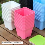 植木鉢 フラワーポット プラ鉢 | PlusNao | 詳細画像4