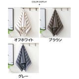 フェイスタオル 単品 洗顔用タオル | PlusNao | 詳細画像9 