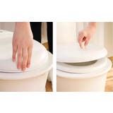 つまみ 取手 2個セット | PlusNao | 詳細画像6 