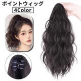 ポイントウィッグ ヘアウィッグ 部分ウィッグ | PlusNao | 詳細画像1 