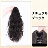 ポイントウィッグ ヘアウィッグ 部分ウィッグ | PlusNao | 詳細画像12 