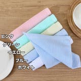 ミニタオル 12枚セット タオルハンカチ | PlusNao | 詳細画像6 