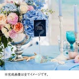 メモスタンド パーツ ペインティングクリップ | PlusNao | 詳細画像2 