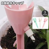 自動給水キャップ 自動水やり器 単品 | PlusNao | 詳細画像1 
