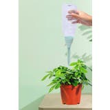 自動給水キャップ 自動水やり器 単品 | PlusNao | 詳細画像11 