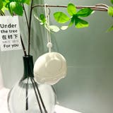 粘着クリーナー 携帯用 単品 | PlusNao | 詳細画像6