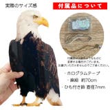 鳥よけボード 鳥よけ 防鳥 | PlusNao | 詳細画像15 