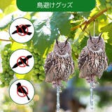 鳥よけボード 鳥よけ 防鳥 | PlusNao | 詳細画像2 