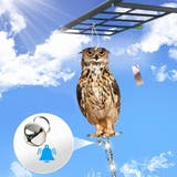 鳥よけボード 鳥よけ 防鳥 | PlusNao | 詳細画像4 