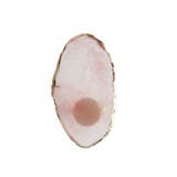 リングパレット マニキュア用 ネイルアートパレット | PlusNao | 詳細画像11 