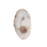 リングパレット マニキュア用 ネイルアートパレット | PlusNao | 詳細画像8 