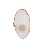 リングパレット マニキュア用 ネイルアートパレット | PlusNao | 詳細画像9 