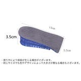 シークレットインソール 中敷き 1ペア | PlusNao | 詳細画像16