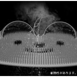 フットブラシ ボディブラシ バス用品 | PlusNao | 詳細画像9 
