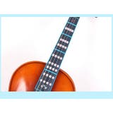 ポジションガイドステッカー バイオリン用 音階ガイド | PlusNao | 詳細画像2