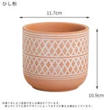 植木鉢 プラントポット 鉢植え | PlusNao | 詳細画像17