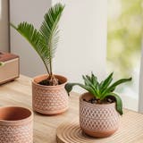 植木鉢 プラントポット 鉢植え | PlusNao | 詳細画像3