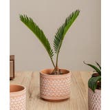 植木鉢 プラントポット 鉢植え | PlusNao | 詳細画像8