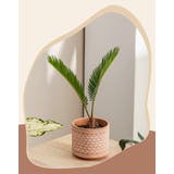 植木鉢 プラントポット 鉢植え | PlusNao | 詳細画像9