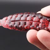 ソフトルアー 疑似餌 単品 | PlusNao | 詳細画像5 