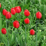 植物支柱 3本セット 園芸用支柱 | PlusNao | 詳細画像3