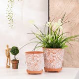 植木鉢 フラワーポット 単品 | PlusNao | 詳細画像4 