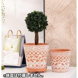 植木鉢 フラワーポット 単品 | PlusNao | 詳細画像5 