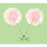 ニップレス ニップルカバー ノーブラ | PlusNao | 詳細画像11 