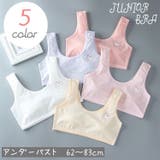 ジュニアブラ ブラジャー ハーフトップ | PlusNao | 詳細画像1 