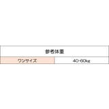 セクシーランジェリー Tバックショーツ 2点セット | PlusNao | 詳細画像8 