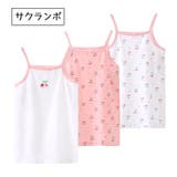 インナー 肌着 下着 | PlusNao | 詳細画像13 