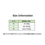 ペチパンツ タップパンツ レディース | PlusNao | 詳細画像12 