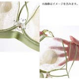 ブラジャー 女性 レース | PlusNao | 詳細画像17 