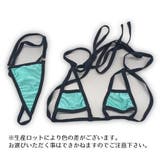 セクシーランジェリー 水着 上下セット | PlusNao | 詳細画像8 