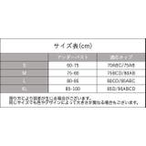 ブラジャー ショーツ 上下 | PlusNao | 詳細画像20