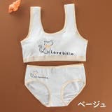 ジュニアブラジャー ショーツ 上下セット | PlusNao | 詳細画像14