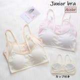 ジュニアブラ ファーストブラ ハーフトップブラ | PlusNao | 詳細画像1 
