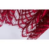 ベビードール インナー ランジェリー | PlusNao | 詳細画像13 