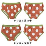 ショーツ パンツ インナー | PlusNao | 詳細画像13 
