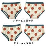 ショーツ パンツ インナー | PlusNao | 詳細画像14 