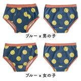 ショーツ パンツ インナー | PlusNao | 詳細画像15 