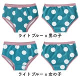 ショーツ パンツ インナー | PlusNao | 詳細画像18 
